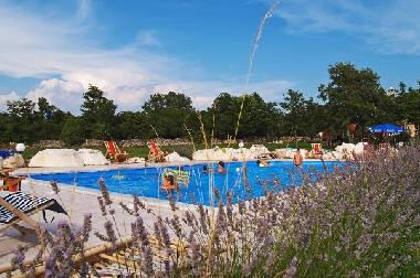 Villa in Divsici (Istarska) or holiday homes and vacation rentals