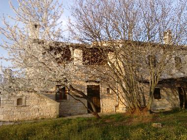 Villa in Divsici (Istarska) or holiday homes and vacation rentals
