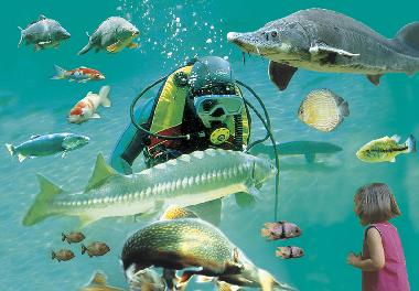 The Aquarium at Le Bugue