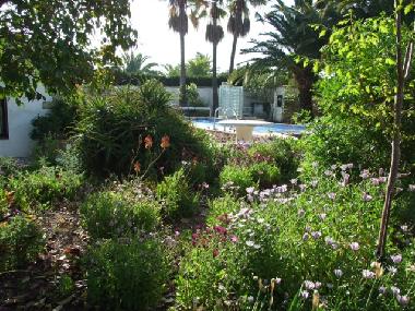 Chalet in Benissa (Alicante / Alacant) or holiday homes and vacation rentals