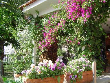 Holiday Apartment in meta  (Napoli) or holiday homes and vacation rentals