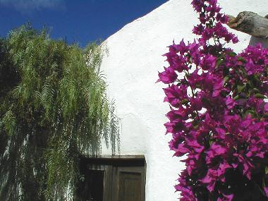 Holiday House in Los Valles-Teguise (Lanzarote) or holiday homes and vacation rentals