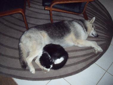 Holiday House in Los Valles-Teguise (Lanzarote) or holiday homes and vacation rentals