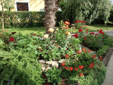 Holiday Apartment in Umag (Istarska) or holiday homes and vacation rentals