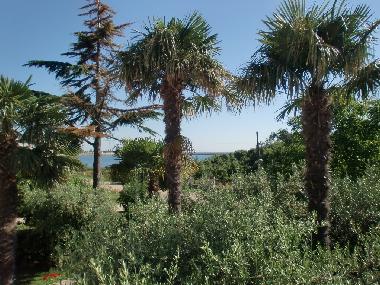 Holiday Apartment in Umag (Istarska) or holiday homes and vacation rentals