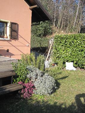 Front Garden with Spices