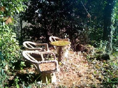 Back Garden - Panoramic View