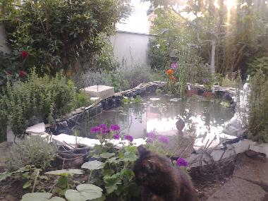 Boat in rom (Roma) or holiday homes and vacation rentals