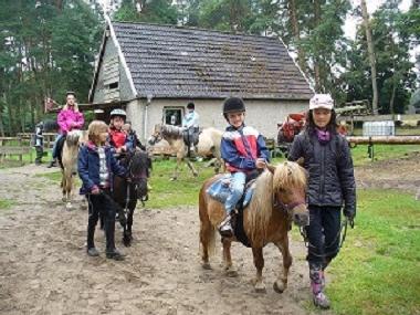 Holiday House in Mirow / OT Granzow (Mecklenburgische Seenplatte) or holiday homes and vacation rentals