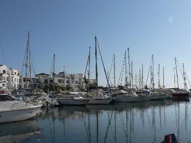 Luxury yachts at the marina