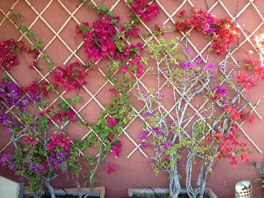 Holiday Apartment in Rome (Rome) or holiday homes and vacation rentals