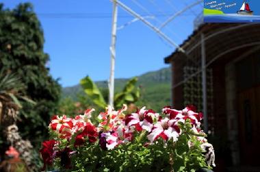 Holiday Apartment in Ohrid (Ohrid) or holiday homes and vacation rentals