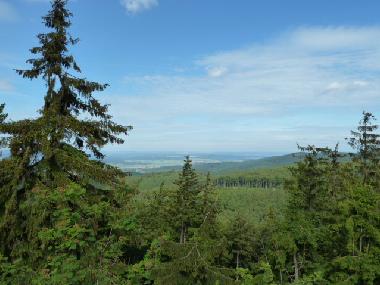 Holiday Apartment in Trusetal (Thuringian forest) or holiday homes and vacation rentals