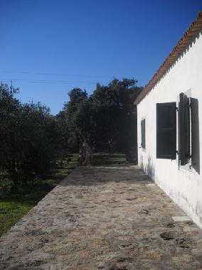 Holiday House in Luogosanto (Sassari) or holiday homes and vacation rentals
