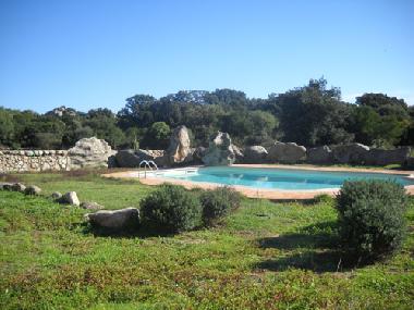 Holiday House in Luogosanto (Sassari) or holiday homes and vacation rentals