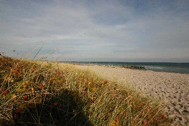Holiday House in Ostseebad Schnhagen (Ostsee-Festland) or holiday homes and vacation rentals