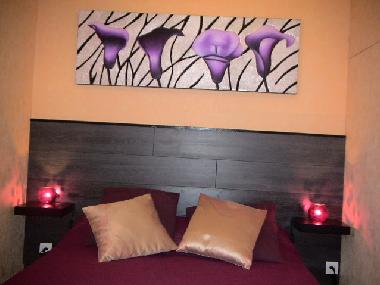 Holiday House in Saint Antonin/LORGUES (Var) or holiday homes and vacation rentals