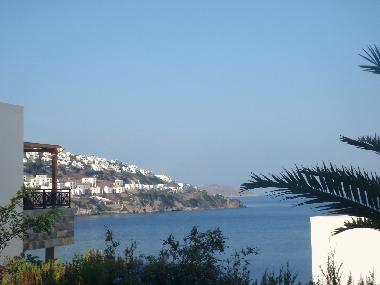 great view from the flat