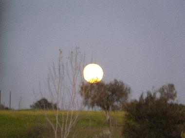 The rising of a full moon