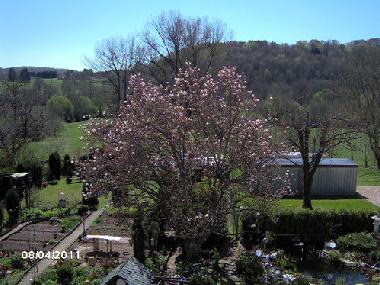 Holiday Apartment in Nohfelden (St. Wendel) or holiday homes and vacation rentals