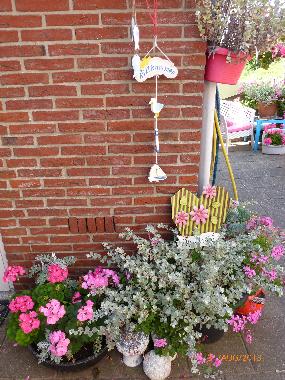 Holiday Apartment in Egmond aan Zee (Noord-Holland) or holiday homes and vacation rentals
