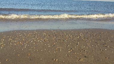 Holiday Apartment in Egmond aan Zee (Noord-Holland) or holiday homes and vacation rentals