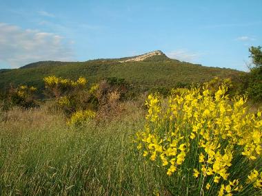 Villa in La Tour sur Orb (H�rault) or holiday homes and vacation rentals