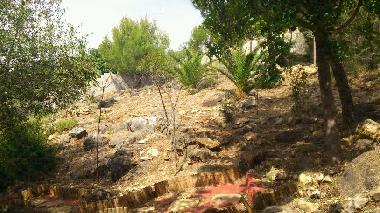 Holiday Apartment in monda (M�laga) or holiday homes and vacation rentals