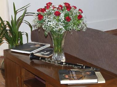 Villa in Buseto Palizzolo (Trapani) or holiday homes and vacation rentals