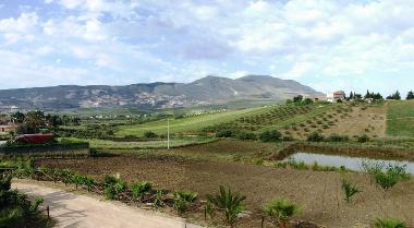 Villa in Buseto Palizzolo (Trapani) or holiday homes and vacation rentals