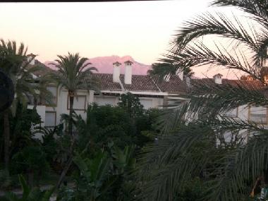 Holiday Apartment in Estepona (M�laga) or holiday homes and vacation rentals