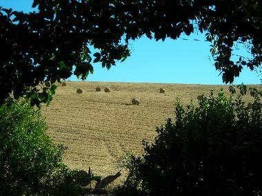 aus dem Kchenfenster