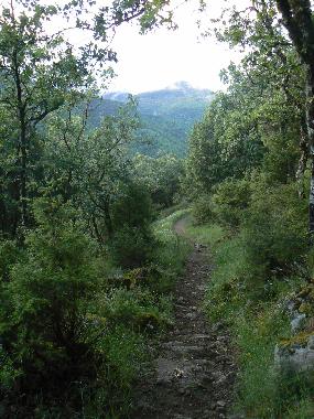 the trail next to the house