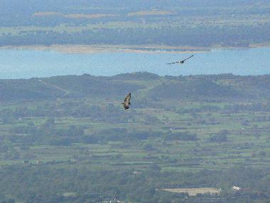 Bed and Breakfast in Candeleda (vila) or holiday homes and vacation rentals