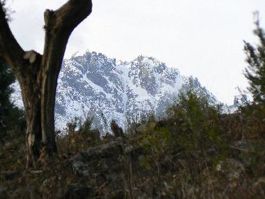 Bed and Breakfast in Candeleda (vila) or holiday homes and vacation rentals