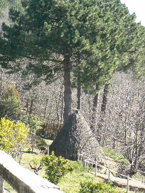 Bed and Breakfast in Candeleda (vila) or holiday homes and vacation rentals