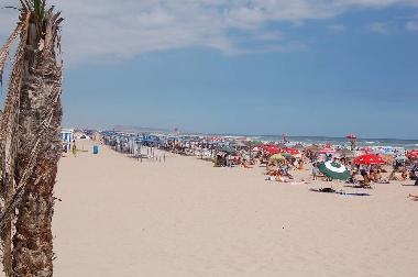 Holiday Apartment in gandia (Valencia / Valncia) or holiday homes and vacation rentals