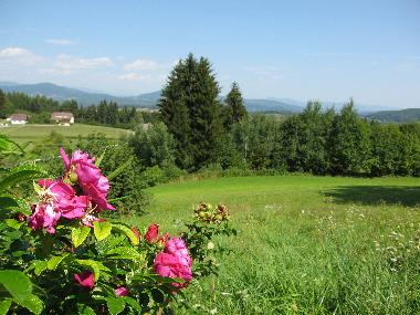 Holiday House in Schiefling (Klagenfurt-Villach) or holiday homes and vacation rentals