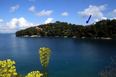 Holiday Apartment in Sali (Zadarska) or holiday homes and vacation rentals