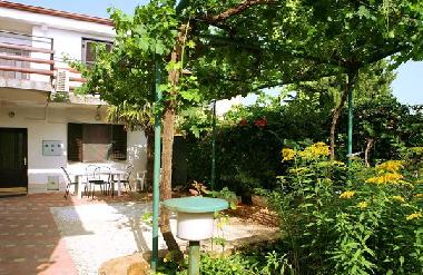 Holiday Apartment in Pula (Istarska) or holiday homes and vacation rentals