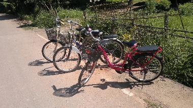 Holiday House in Phan (Chiang Rai) or holiday homes and vacation rentals