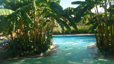 Bed and Breakfast in marrakech (Marrakech) or holiday homes and vacation rentals