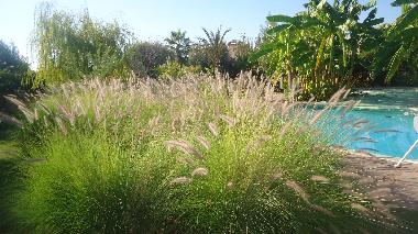 Bed and Breakfast in marrakech (Marrakech) or holiday homes and vacation rentals