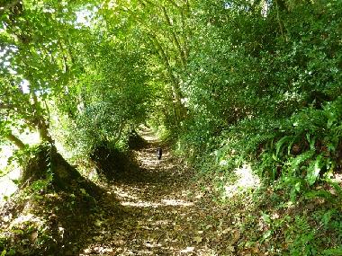 Our Valley Path