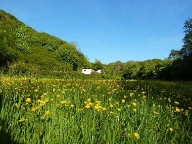 Our Valley Fields with Rusaey Cottage in the background