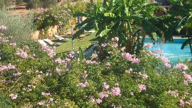Bed and Breakfast in marrakech (Marrakech) or holiday homes and vacation rentals