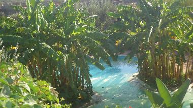Bed and Breakfast in marrakech (Marrakech) or holiday homes and vacation rentals
