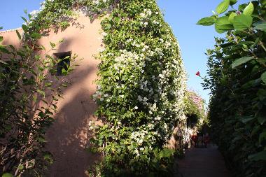 Bed and Breakfast in marrakech (Marrakech) or holiday homes and vacation rentals