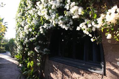 Bed and Breakfast in marrakech (Marrakech) or holiday homes and vacation rentals