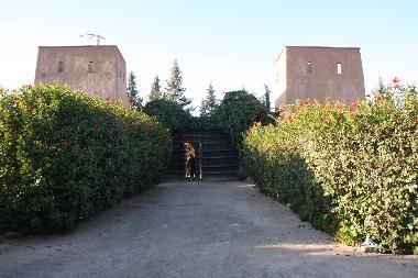 Bed and Breakfast in marrakech (Marrakech) or holiday homes and vacation rentals